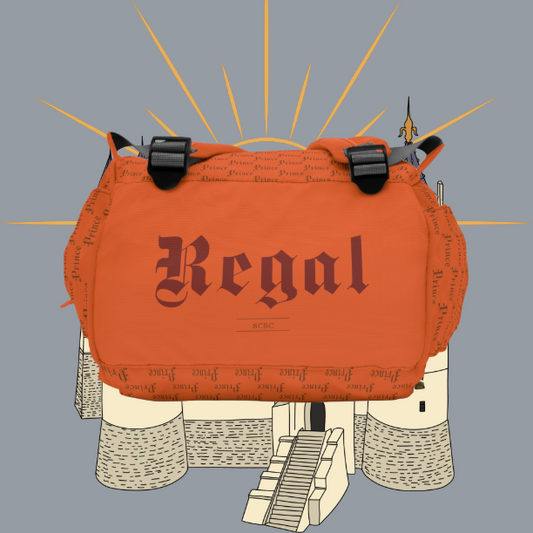 Multifunctional SCBC "Prince" Diaper Bag. Baby Bag, New Mom, Infant Apparel, Baby Accessories, Baby Boy, Baby Girl, Backpack, Diaper Bag